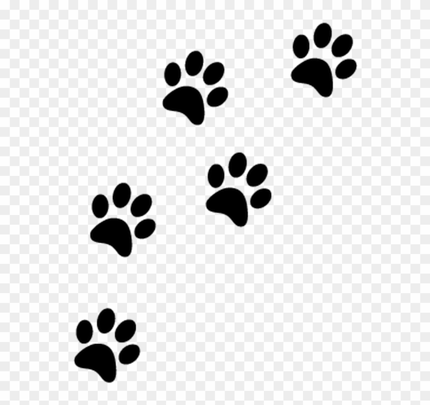 Patte Chat Png - Paw Prints Transparent Background Clipart