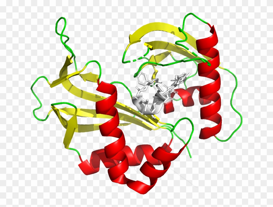 Crystal Cas6 Glycine-rich Bucle - Graphic Design Clipart