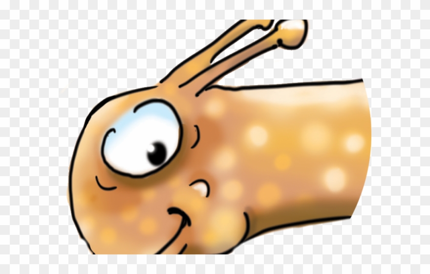 Snail Clipart President - Cartoon - Png Download