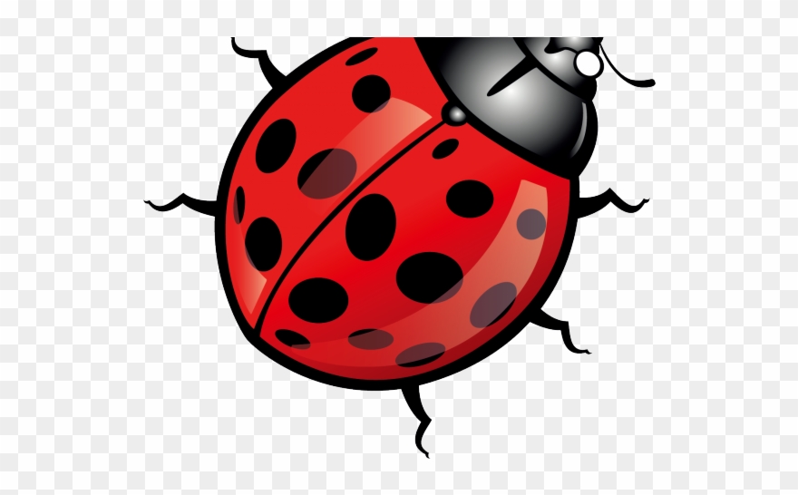 Bugs Clipart Beetle - Ladybugs Vector Free - Png Download