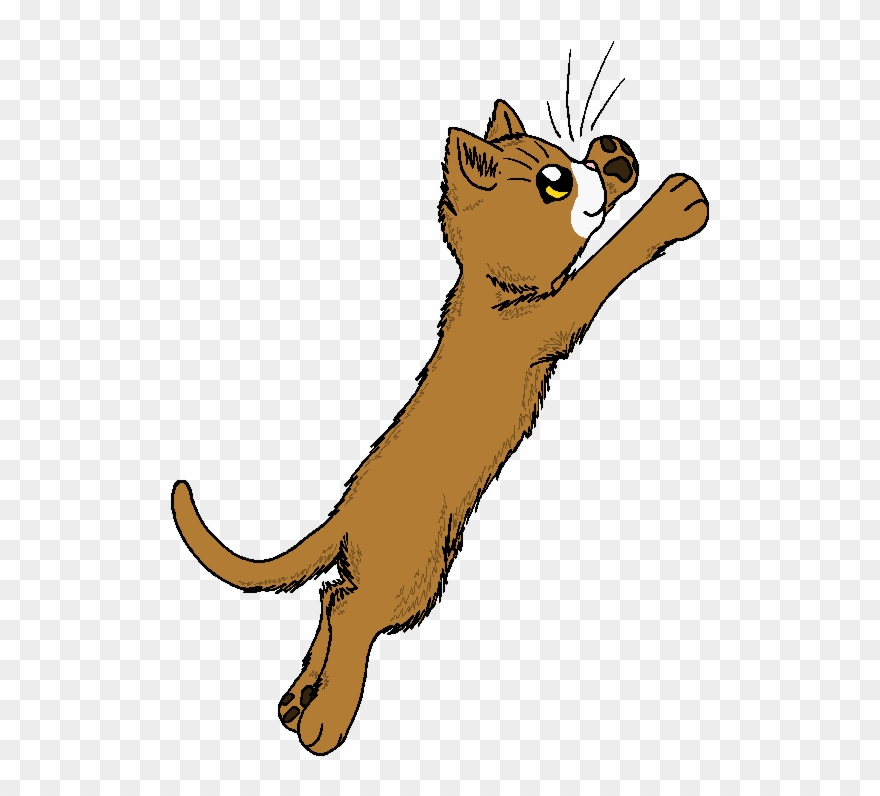 Rain That Rattles On Stones - Portable Network Graphics Clipart