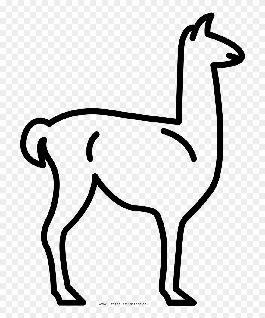 Llama Coloring Page - Dibujar Una Llama Facil Clipart