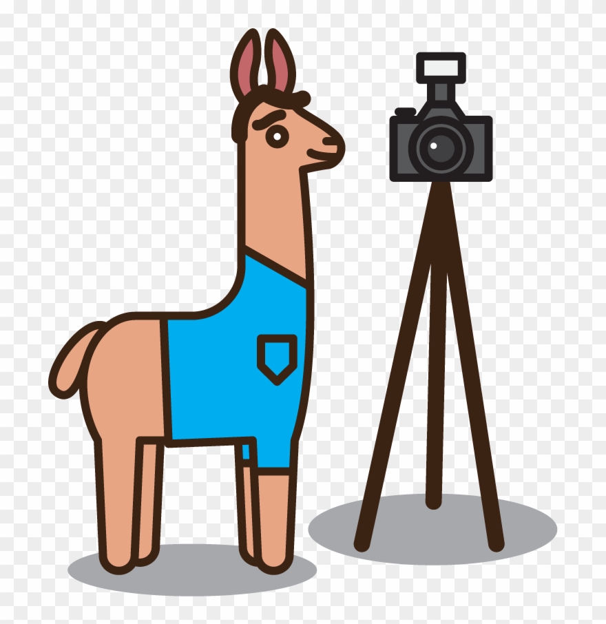 An Illustrated Cartoon Llama With A Camera On A Tripod - Cartoon Clipart