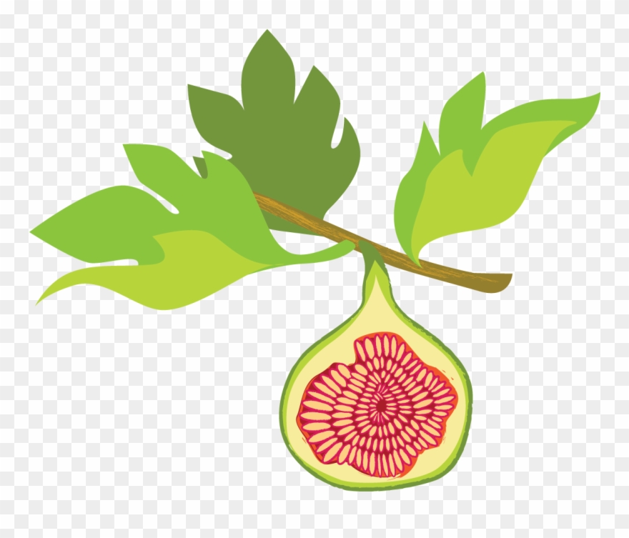 Fig Png - Fig Graphic Clipart