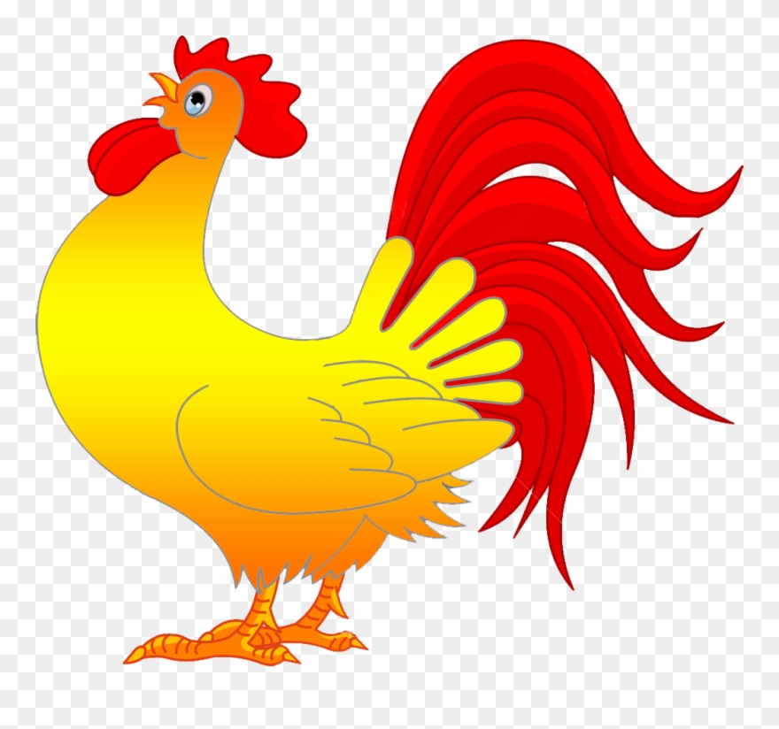 Rooster Cartoon - Gambar Ayam Cartoon Png Clipart
