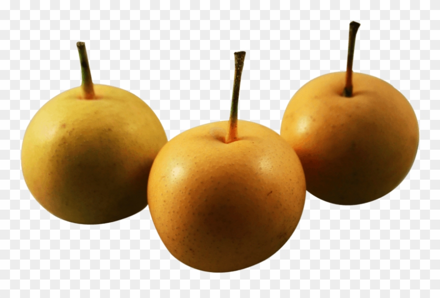 Free Png Asian Nashi Pear Png - Asian Pear Png Clipart