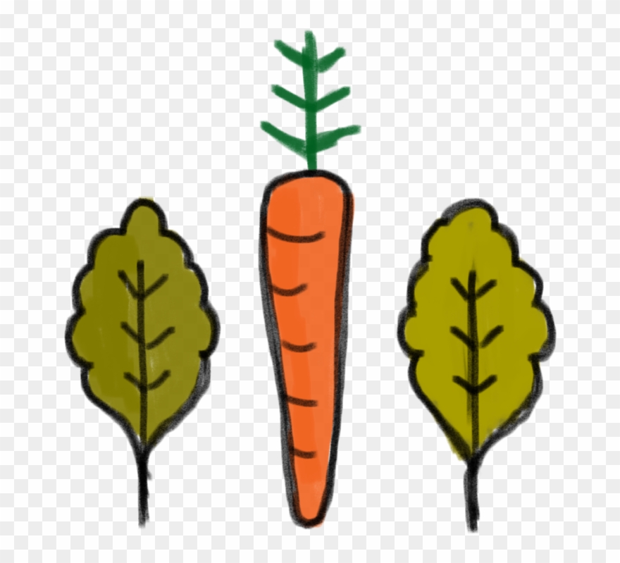 We Eat Food That Is Locally Grown, In The Right Way - Baby Carrot Clipart