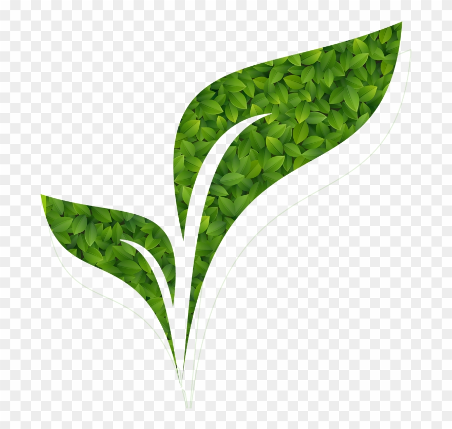 Organic Specialties For Synthesis - Illustration Clipart