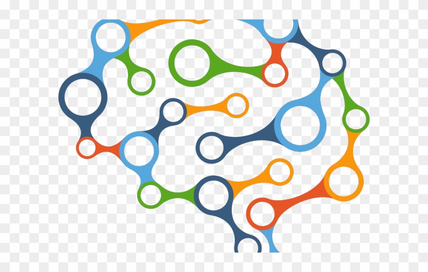 Circle Clipart Brain - Settimana Del Cervello 2017 - Png Download