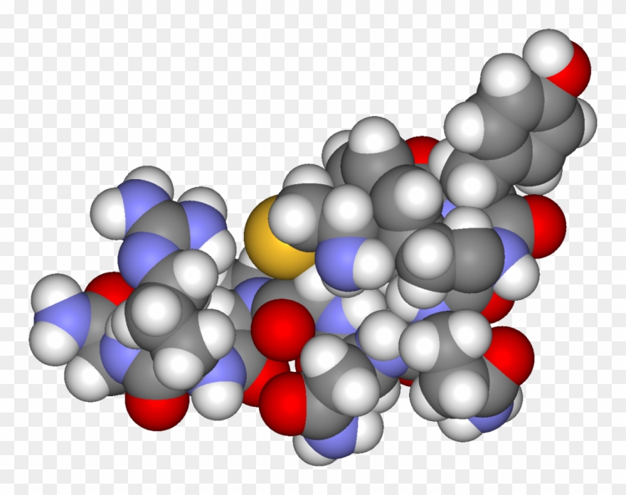 Antidiuretic Hormone Clipart