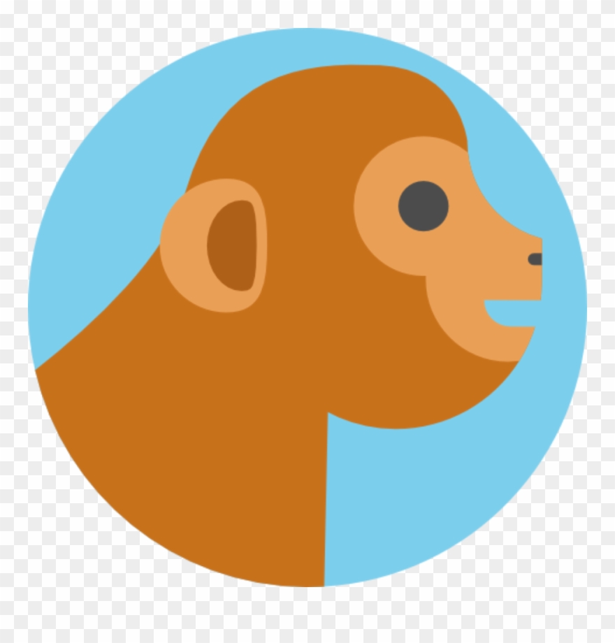Langur Monkeys In Co-existence With Humans - 2019 Year Of The Monkey Clipart