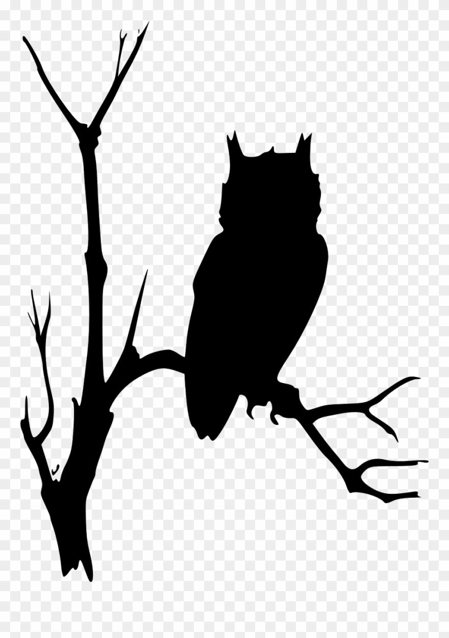 Owl Branches Tree - Owl In Tree Silhouette Clipart
