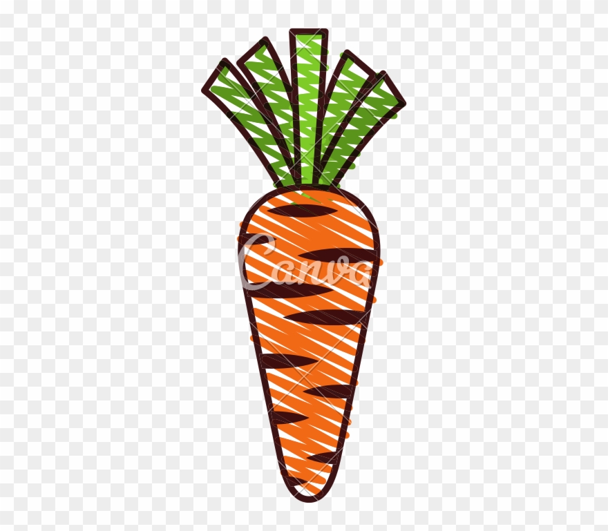 Carrot Clipart Sketch - Baby Carrot - Png Download