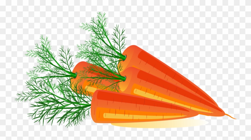 Carrot Png Image, Download Png Image With Transparent - Carrots Clipart Transparent Background