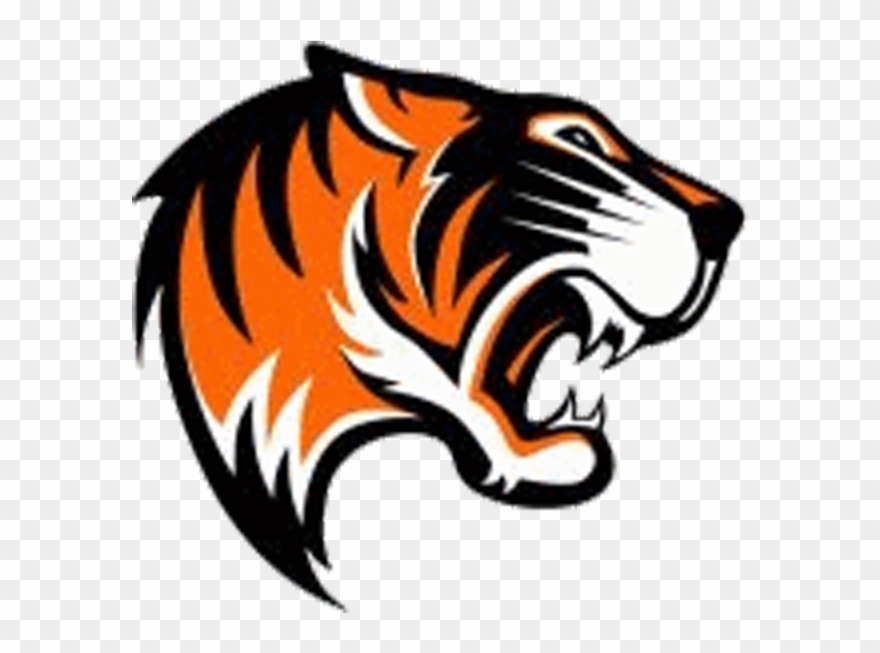 Tigre , Png Download Clipart