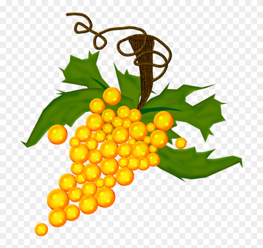 Grape Grappe De Raisin Png Transparent Clipart (3721736) PinClipart