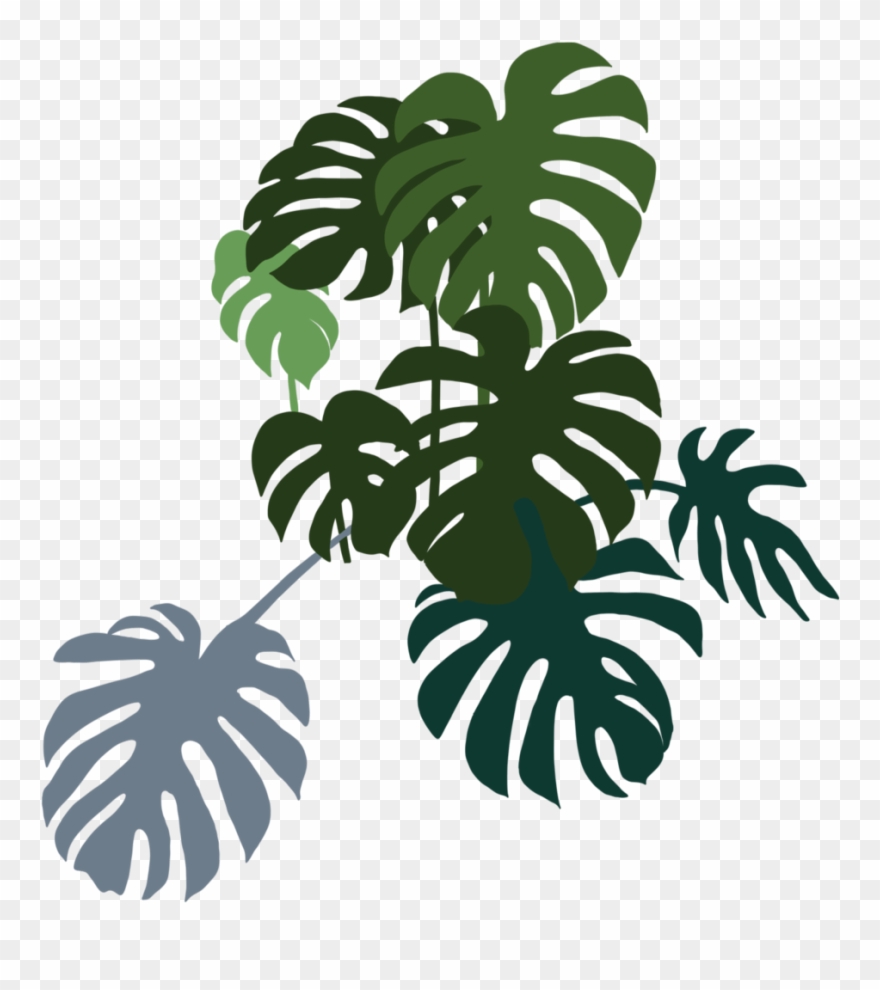 Monstera Bunch Left - Decoração Minimalista Com Plantas Clipart
