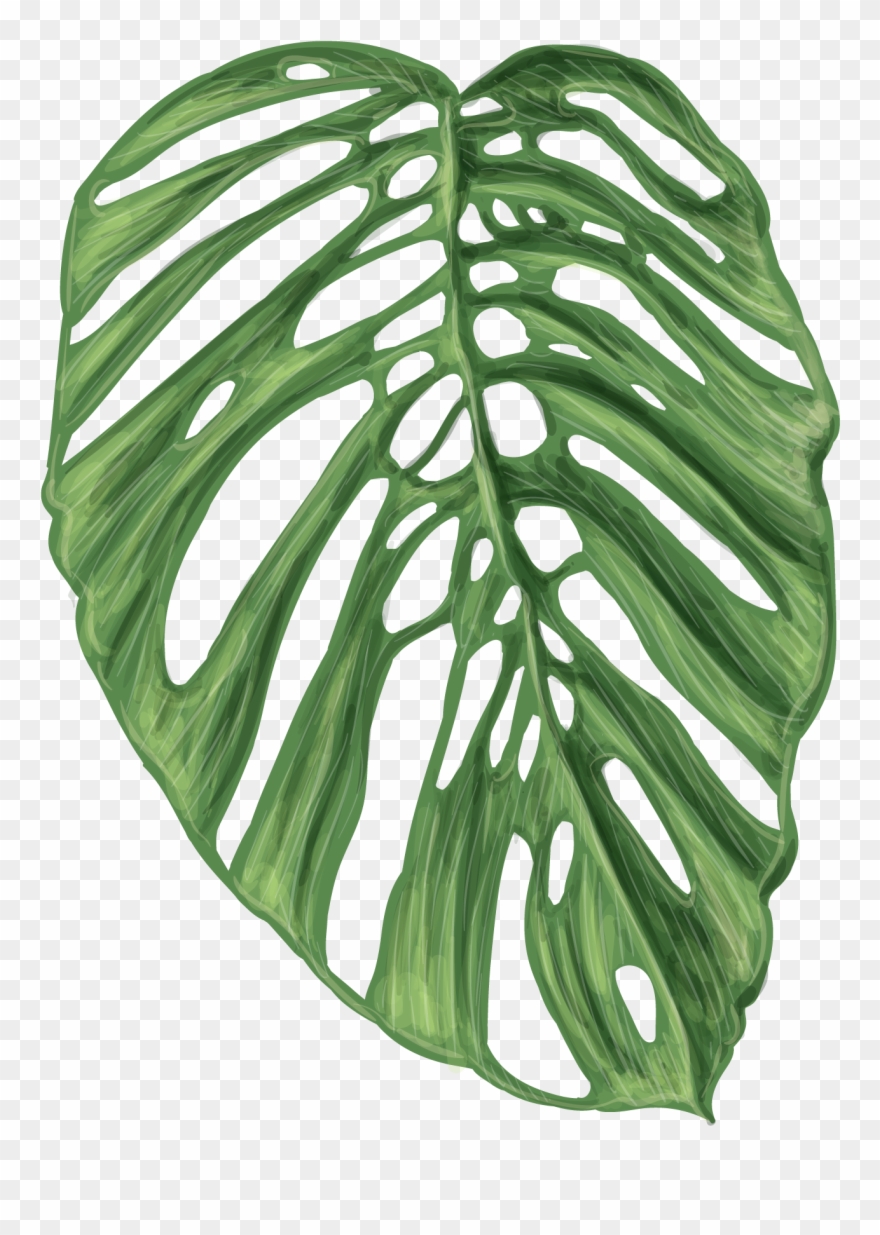 Vector Graphics Clipart