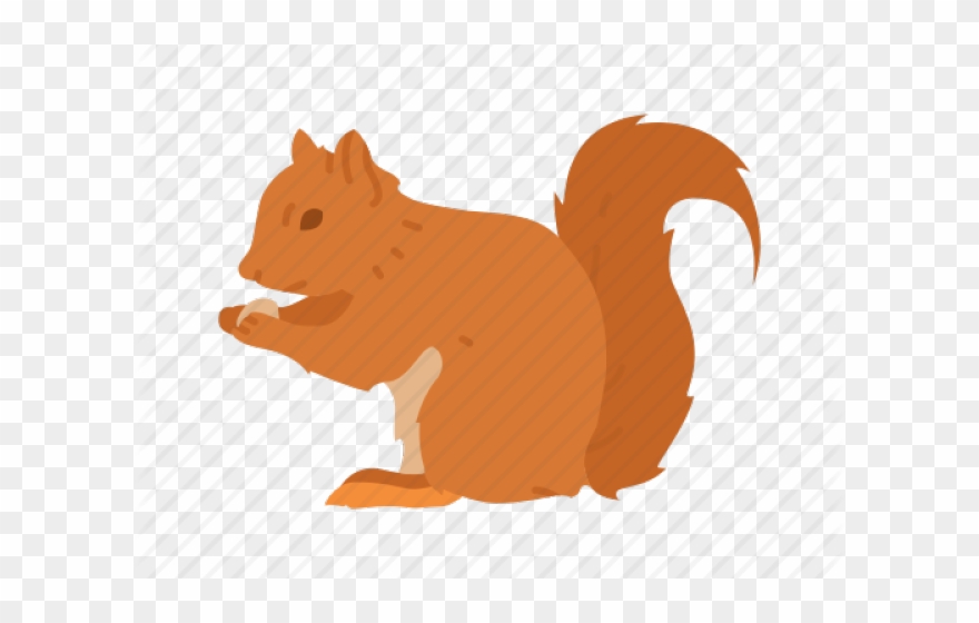 Gray Squirrel Clipart Chipmunk - Illustration - Png Download