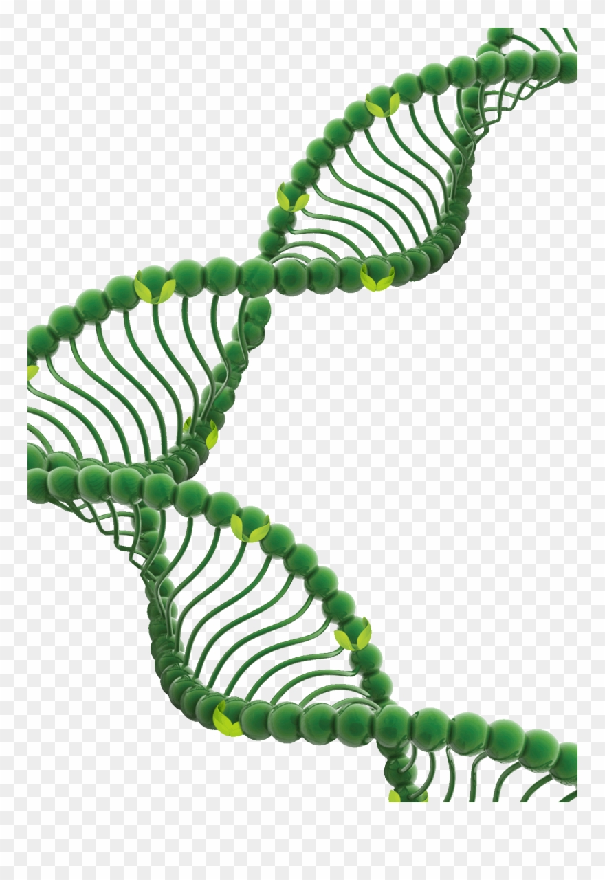 For Several Years Before Disease Onset, A Patient May Clipart