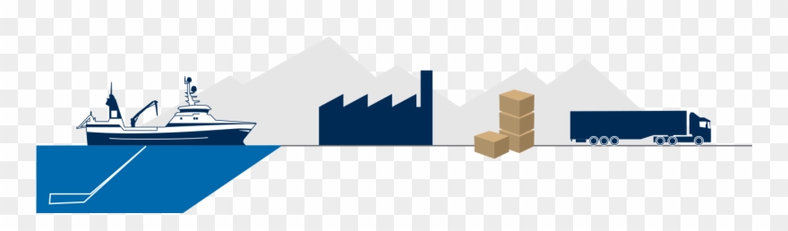 Immediately After The Prawns Have Been Caught And Hauled Clipart