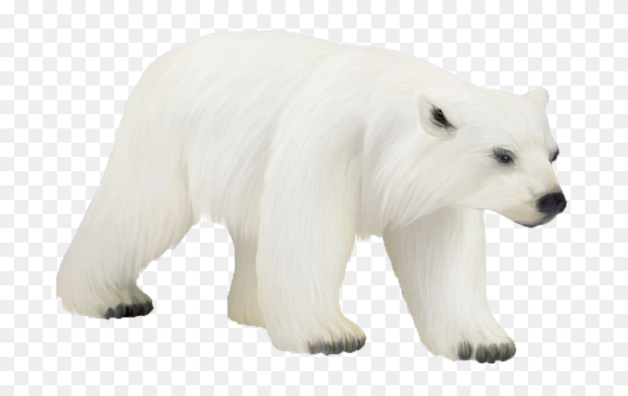 Polar Bear Png Photos - Polar Bear Clipart
