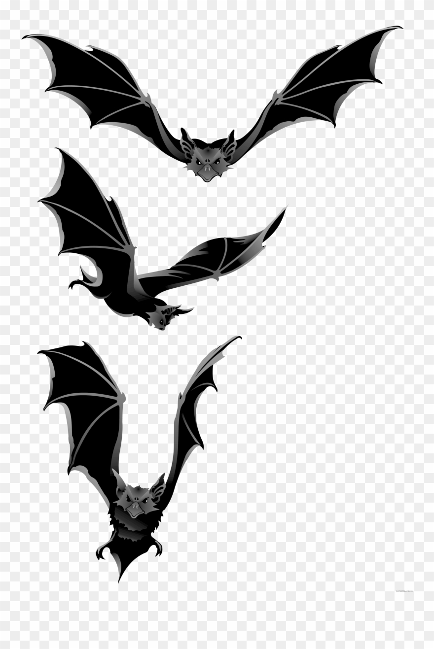 Bat Animal Free Black White Clipart Images Clipartblack - Halloween Bats Clipart Png Transparent Png