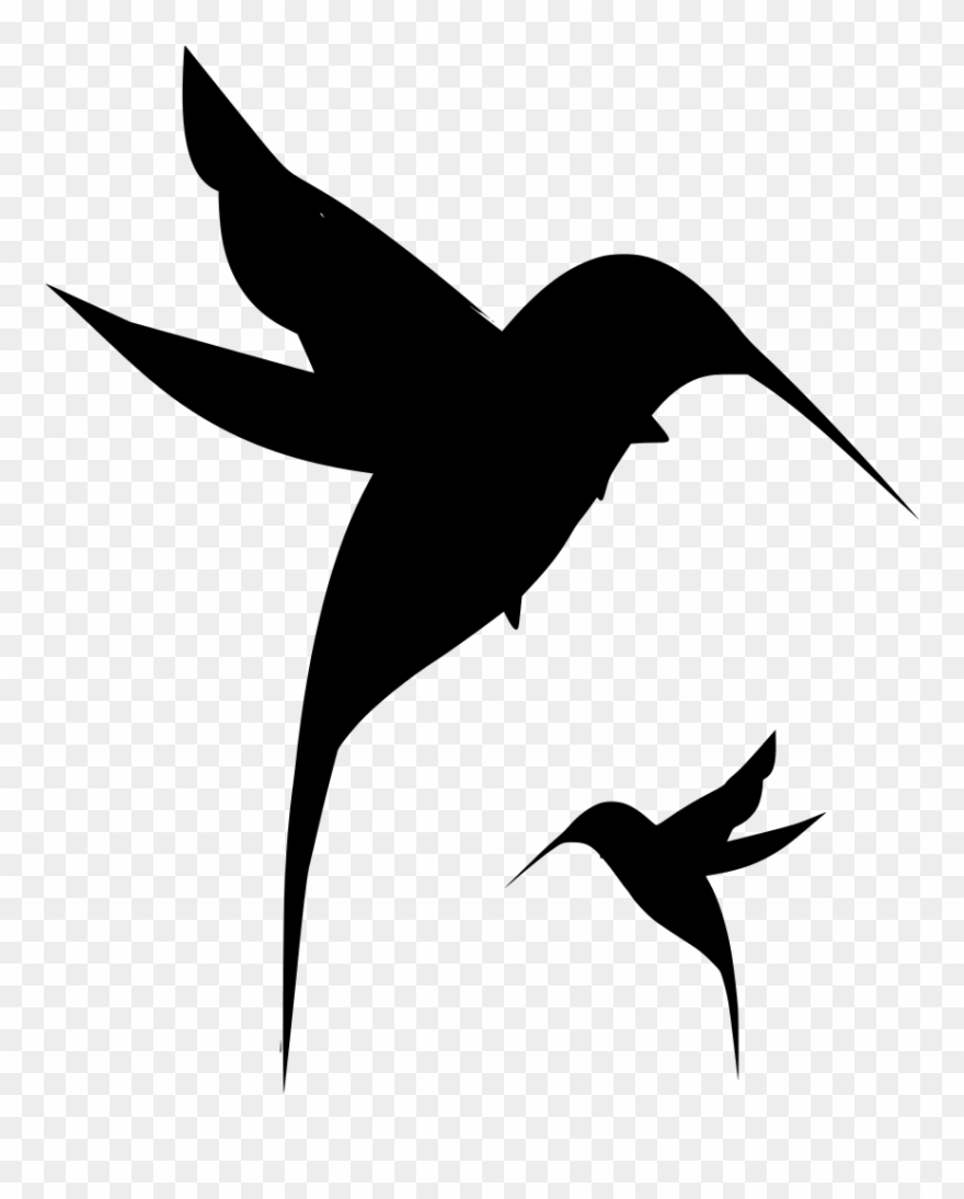 Download Png - Baby Hummingbird Tattoo Clipart