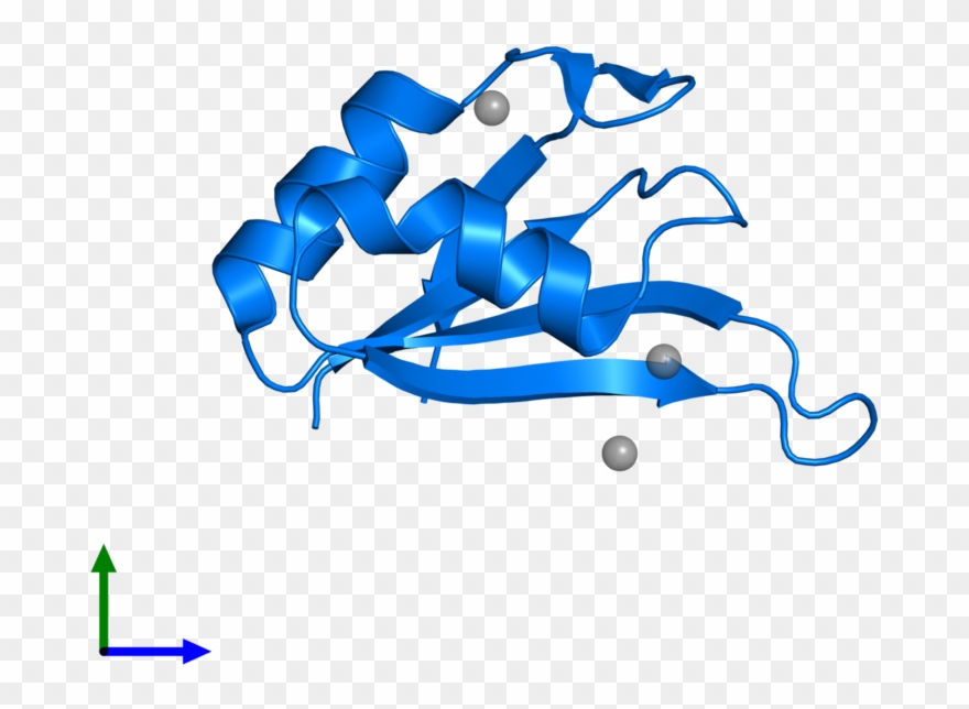 <div Class='caption-body'>pdb Entry 3bs9 Contains 1 - Graphic Design Clipart