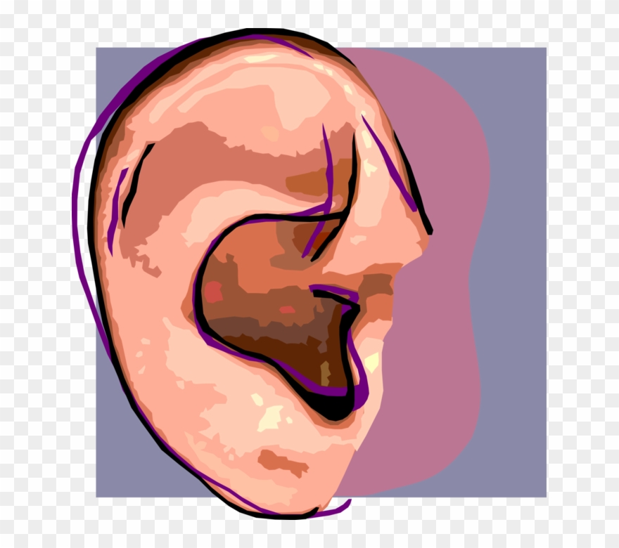 Vector Illustration Of Human Ear For Hearing Clipart