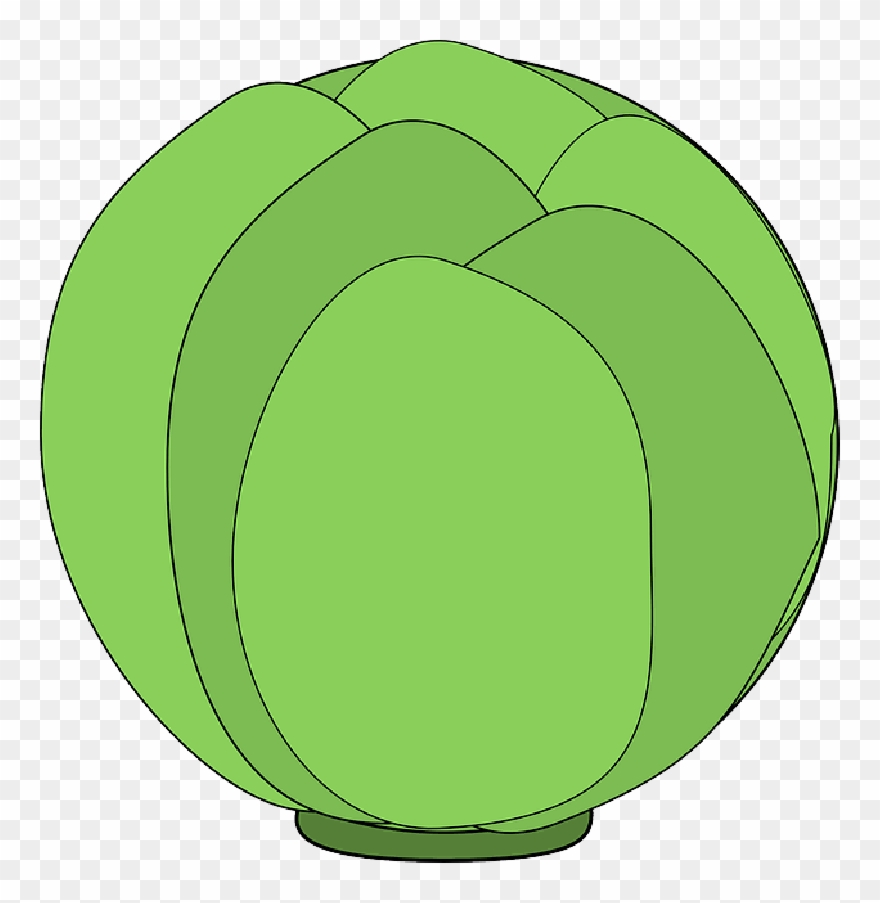 Cabbage Clip Art Free - Circle - Png Download
