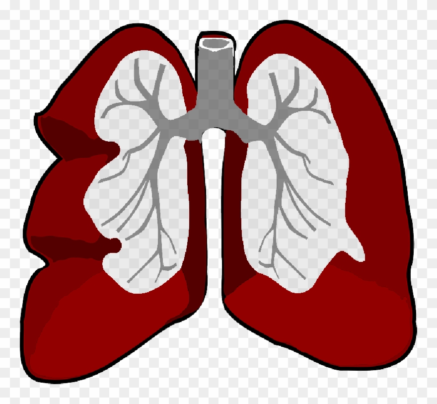 Free Pictures Outline - Lung Cancer Clipart Png Transparent Png