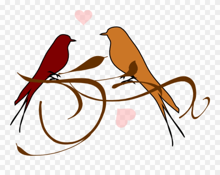 Free Png Download Love Birds Png Images Background Clipart
