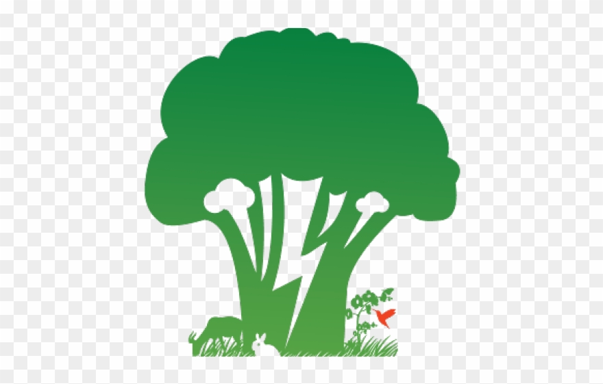 Baking Clipart Transparent - Broccoli - Png Download