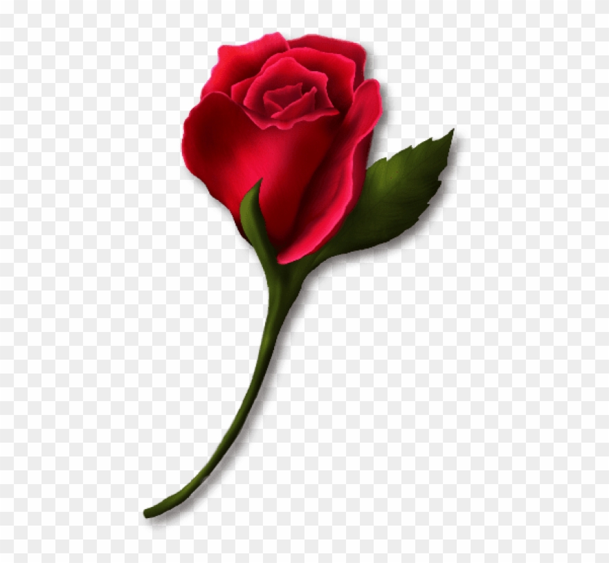 Download Red Rose Bud Painted Png Images Background - Single Red Rose Clip Art Transparent Png