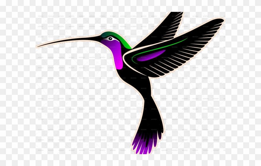 Drawn Hummingbird Png Transparent - Hummingbird Logo Png Clipart