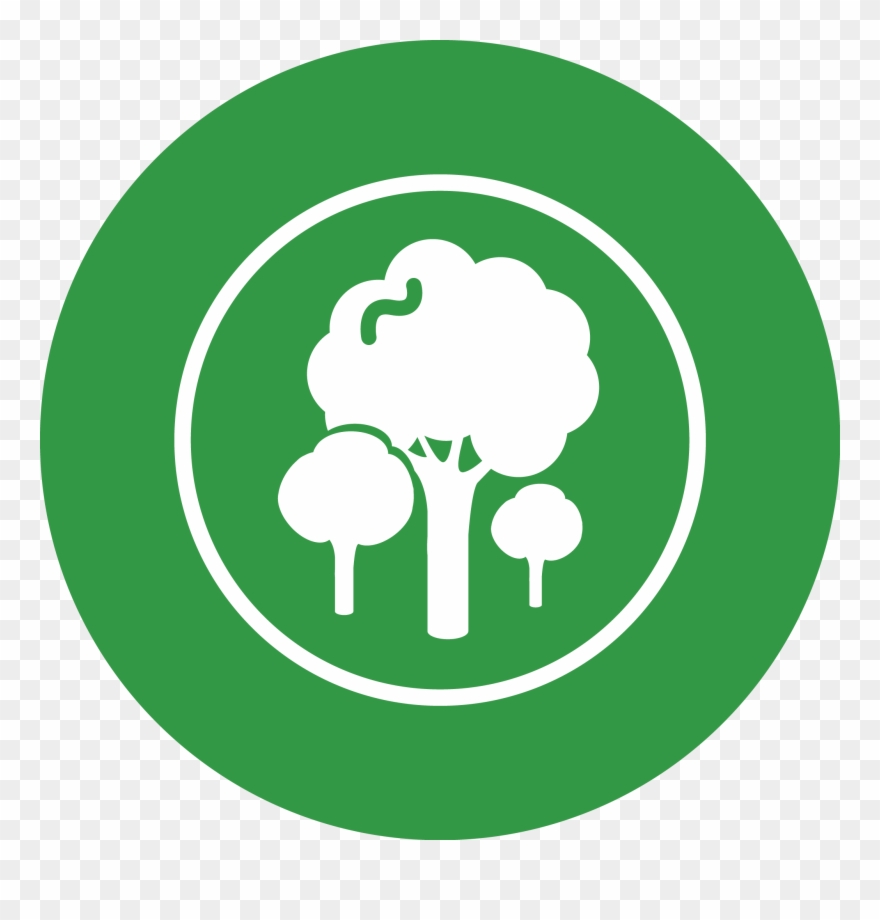 Pollution Clipart Nearby Population Food Forest Habitat - Gloucester Road Tube Station - Png Download