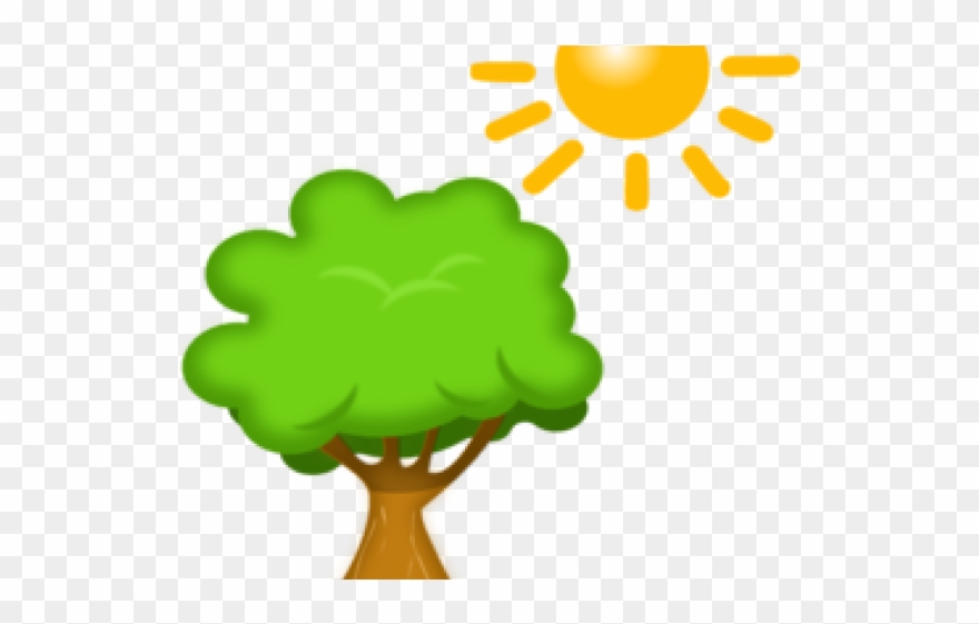 Sunlight Clipart Sunlight Plant - Tree Clipart Transparent Background - Png Download