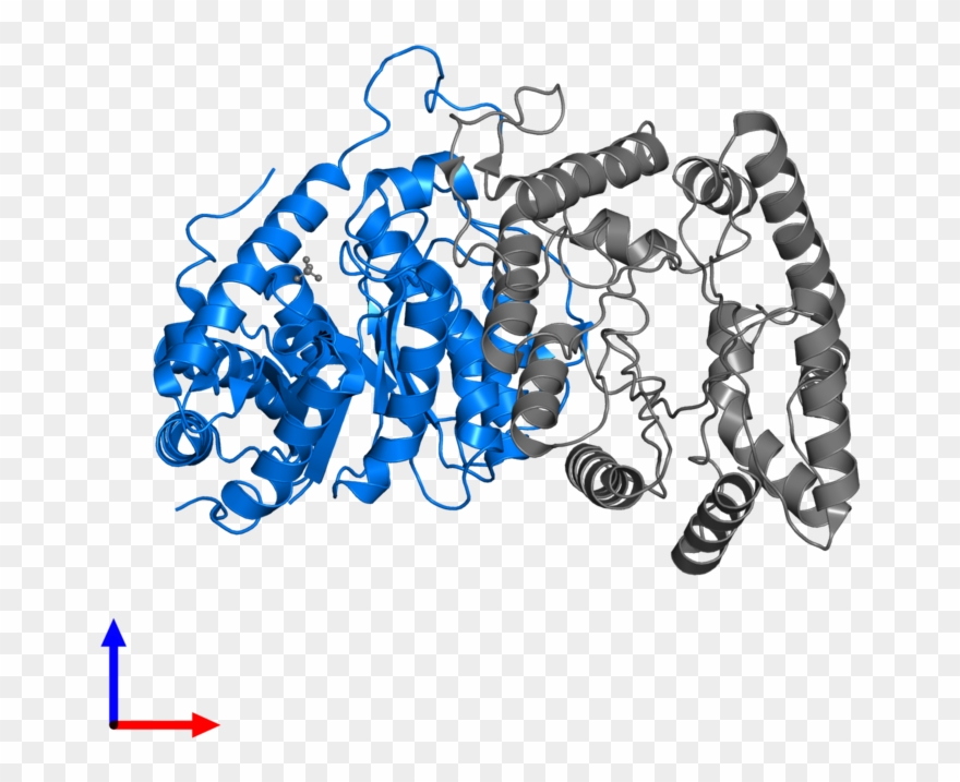 <div Class='caption-body'>pdb Entry 1brl Contains 1 - Graphic Design Clipart