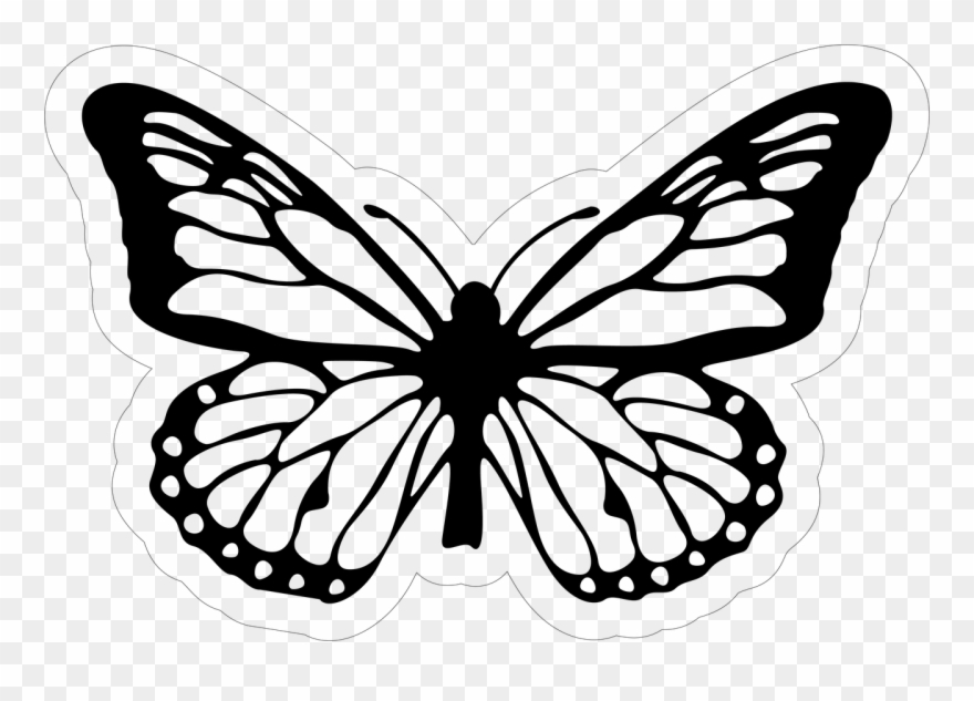 Categories - Papilio Machaon Clipart