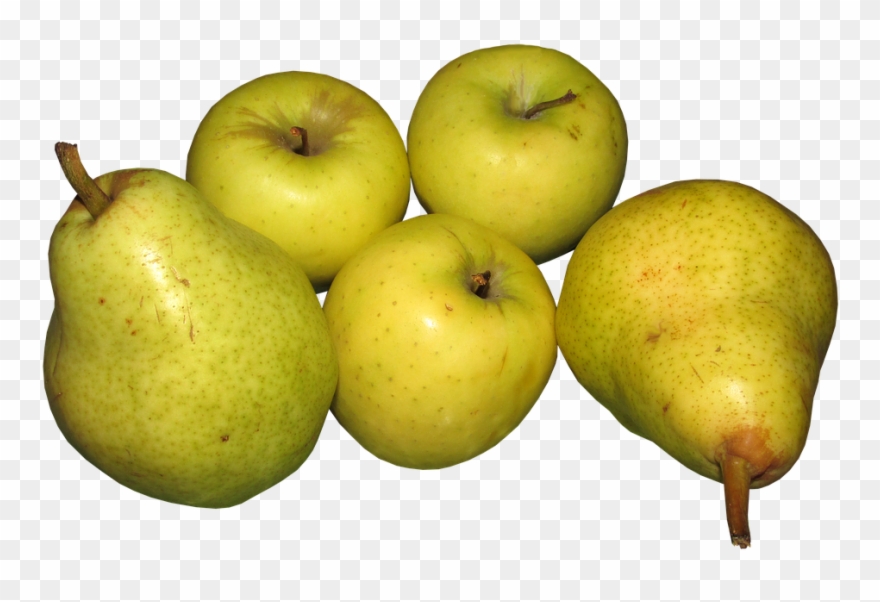 Yellow Transparent Apples - Apple Pear Fruit Clipart