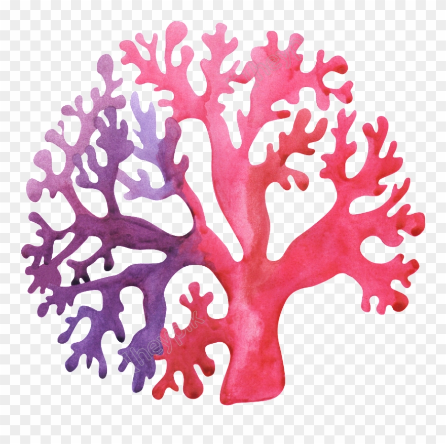 Coral Png - Sea World Water Color Clipart