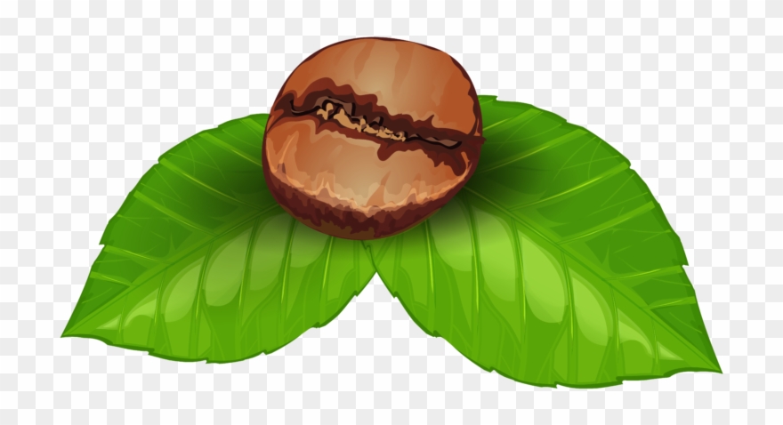 Coffee Bean Clipart Transparent - Png Download