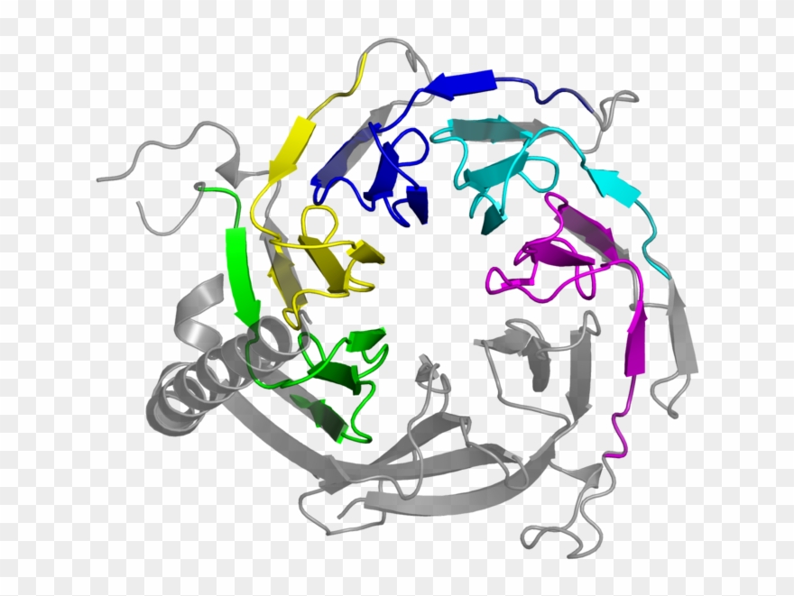 <div Class='caption-body'>5 Copies Of Pfam Domain < - Illustration Clipart