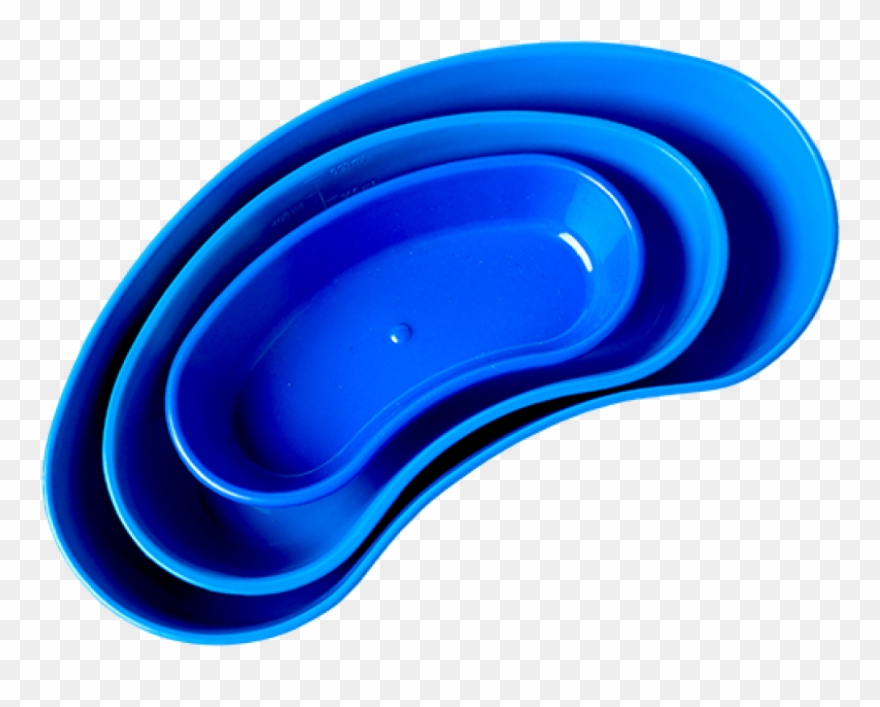 Kidney Dish , Png Download Clipart