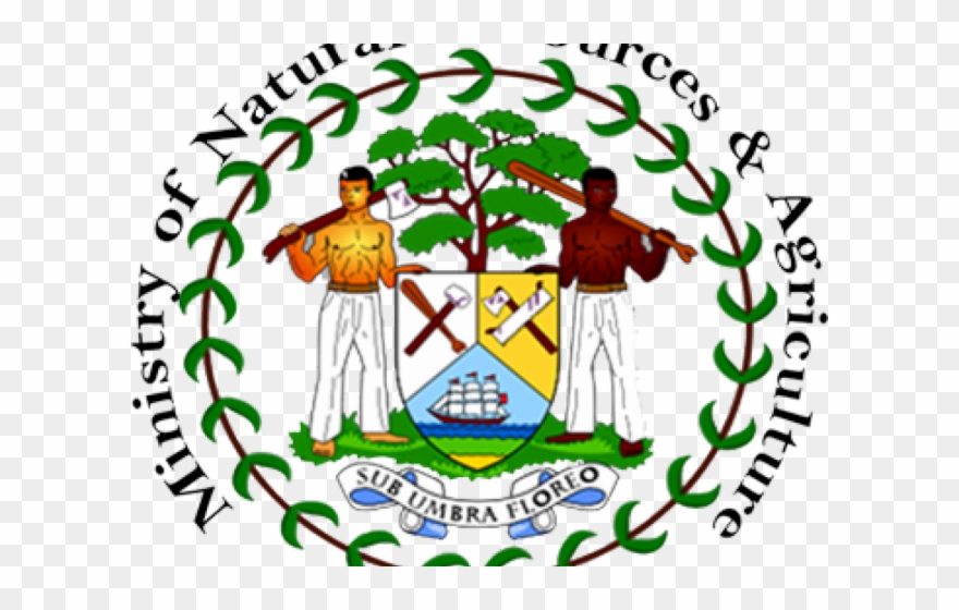 Farmland Clipart Economic Resource - Belize Flag Vector - Png Download