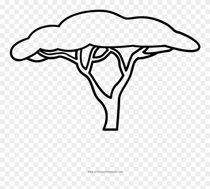 Savannah Tree Coloring Page - Arvore De Savana Para Colorir Clipart