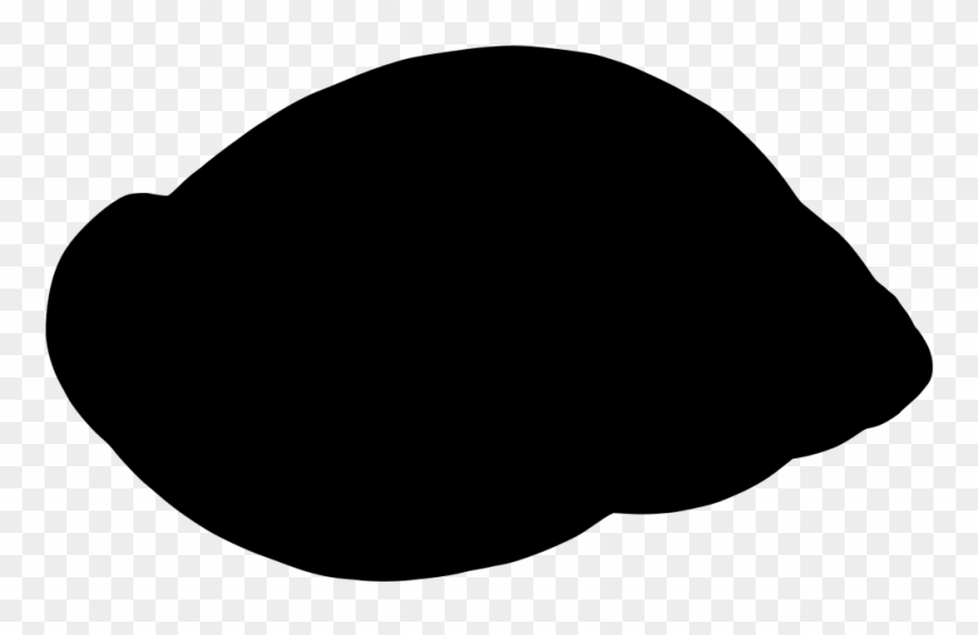 Download Png - Paleta De Violão Vetor Clipart