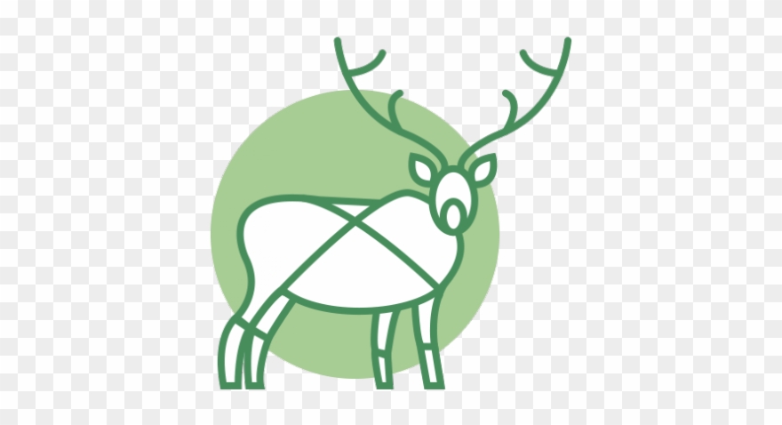 Caribou Clipart Antelope - Cartoon - Png Download