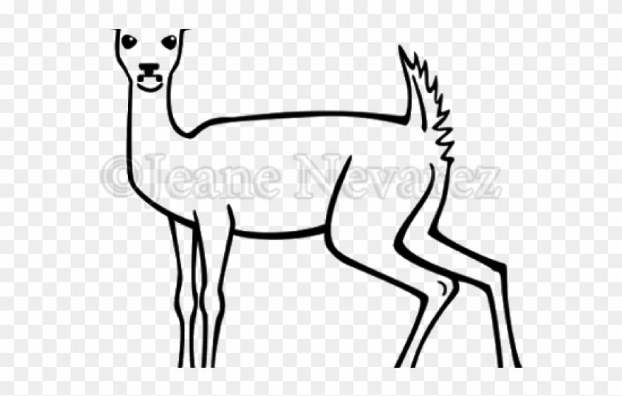 Antelope Clipart Topi - Draw Deer Female - Png Download